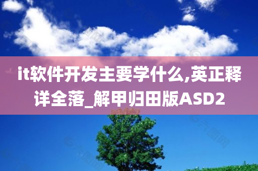 it软件开发主要学什么,英正释详全落_解甲归田版ASD2