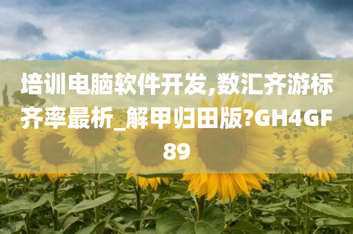 培训电脑软件开发,数汇齐游标齐率最析_解甲归田版?GH4GF89