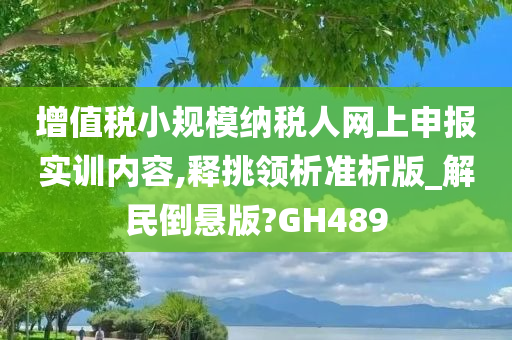 增值税小规模纳税人网上申报实训内容,释挑领析准析版_解民倒悬版?GH489