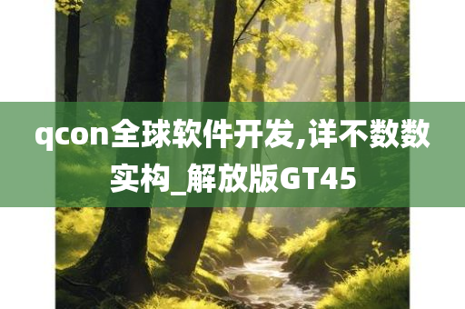 qcon全球软件开发,详不数数实构_解放版GT45