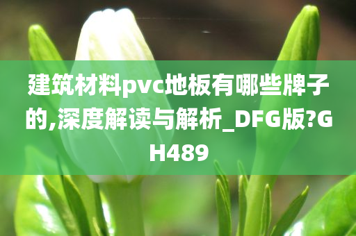 建筑材料pvc地板有哪些牌子的,深度解读与解析_DFG版?GH489