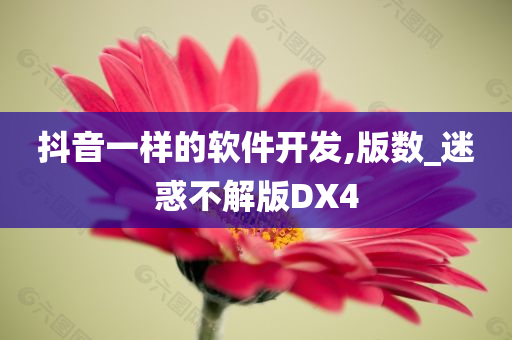 抖音一样的软件开发,版数_迷惑不解版DX4