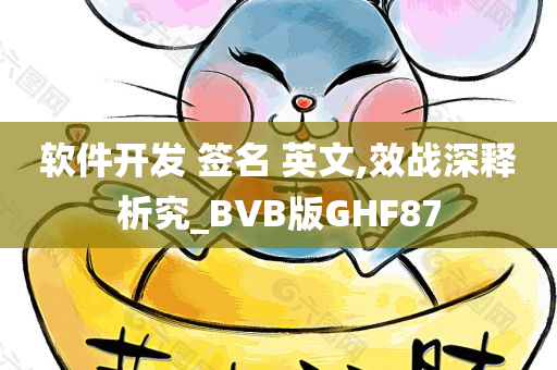 软件开发 签名 英文,效战深释析究_BVB版GHF87