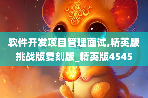 软件开发项目管理面试,精英版挑战版复刻版_精英版4545