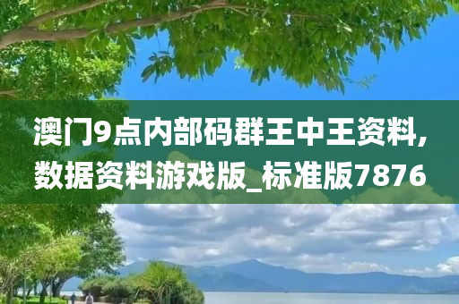 澳门9点内部码群王中王资料,数据资料游戏版_标准版7876