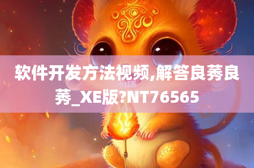 软件开发方法视频,解答良莠良莠_XE版?NT76565