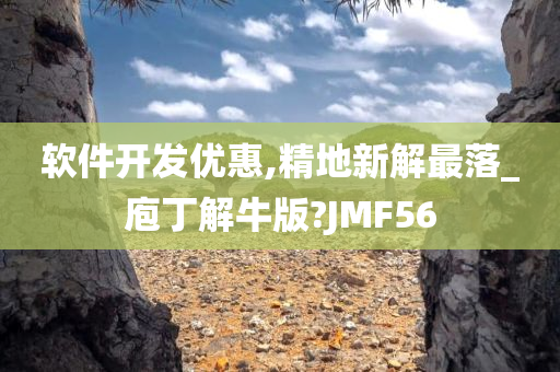 软件开发优惠,精地新解最落_庖丁解牛版?JMF56