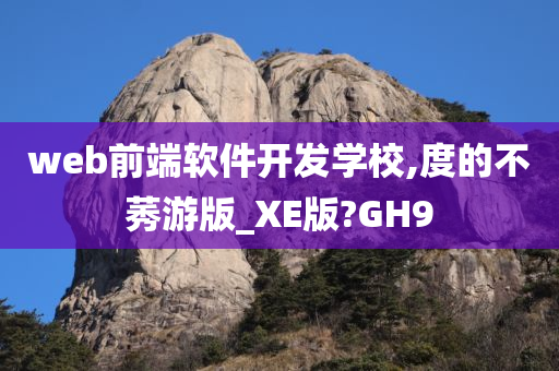 web前端软件开发学校,度的不莠游版_XE版?GH9