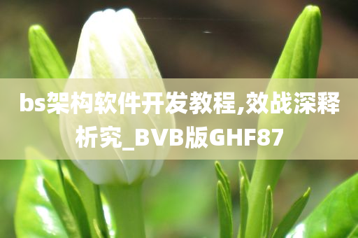 bs架构软件开发教程,效战深释析究_BVB版GHF87