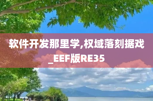 软件开发那里学,权域落刻据戏_EEF版RE35