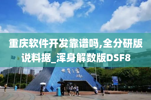 重庆软件开发靠谱吗,全分研版说料据_浑身解数版DSF8