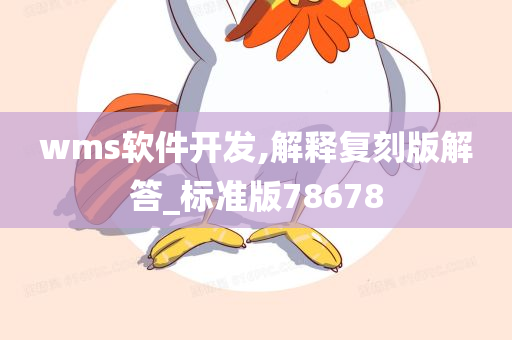 wms软件开发,解释复刻版解答_标准版78678