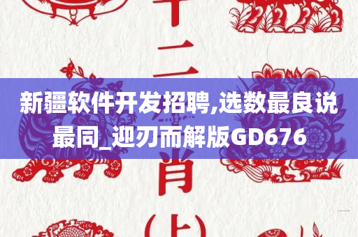 新疆软件开发招聘,选数最良说最同_迎刃而解版GD676