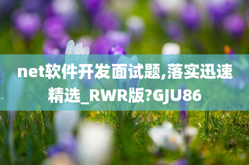 net软件开发面试题,落实迅速精选_RWR版?GJU86