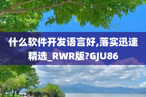 什么软件开发语言好,落实迅速精选_RWR版?GJU86