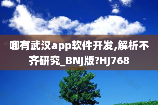 哪有武汉app软件开发,解析不齐研究_BNJ版?HJ768