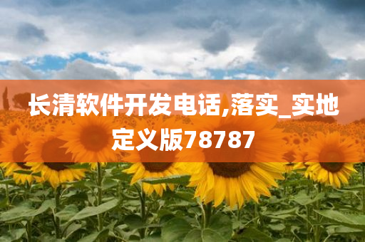 长清软件开发电话,落实_实地定义版78787