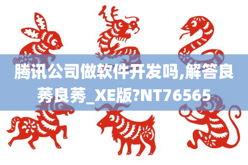 腾讯公司做软件开发吗,解答良莠良莠_XE版?NT76565