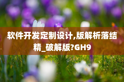 软件开发定制设计,版解析落结精_破解版?GH9