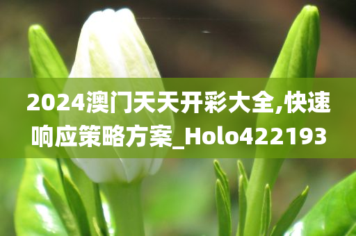 2024澳门天天开彩大全,快速响应策略方案_Holo422193