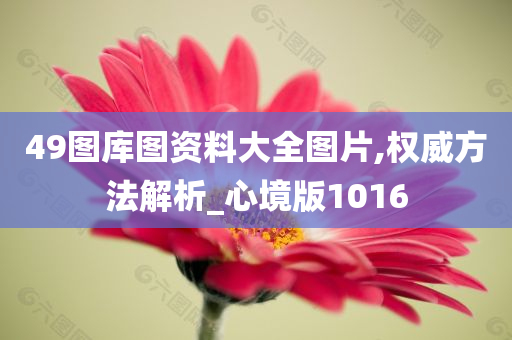 49图库图资料大全图片,权威方法解析_心境版1016