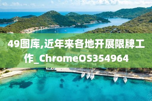 49图库,近年来各地开展限牌工作_ChromeOS354964