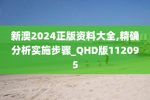 新澳2024正版资料大全,精确分析实施步骤_QHD版112095