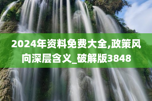 2024年资料免费大全,政策风向深层含义_破解版3848