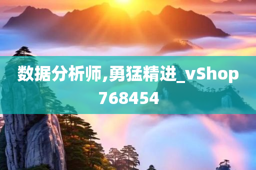 数据分析师,勇猛精进_vShop768454