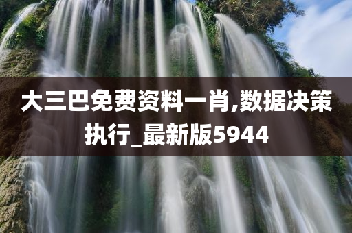 大三巴免费资料一肖,数据决策执行_最新版5944