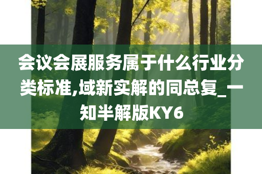 会议会展服务属于什么行业分类标准,域新实解的同总复_一知半解版KY6