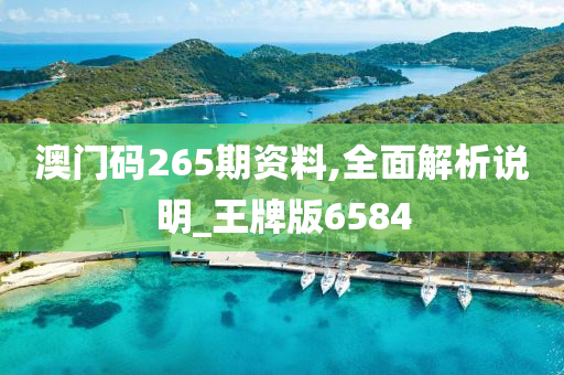 澳门码265期资料,全面解析说明_王牌版6584