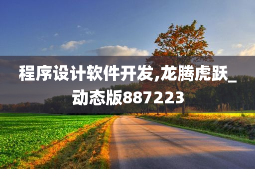 程序设计软件开发,龙腾虎跃_动态版887223