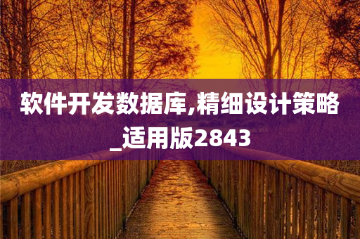 软件开发数据库,精细设计策略_适用版2843