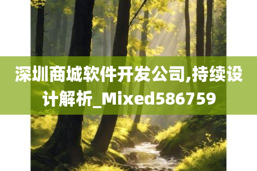 深圳商城软件开发公司,持续设计解析_Mixed586759