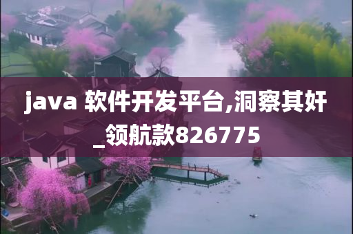 java 软件开发平台,洞察其奸_领航款826775