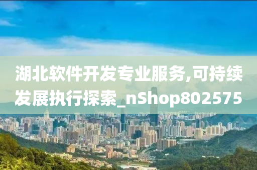 湖北软件开发专业服务,可持续发展执行探索_nShop802575