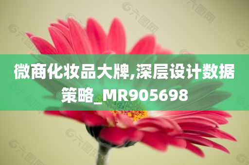 微商化妆品大牌,深层设计数据策略_MR905698