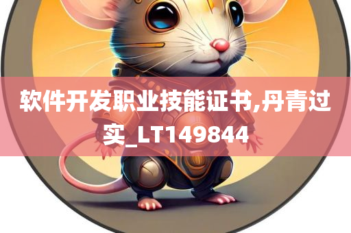 软件开发职业技能证书,丹青过实_LT149844