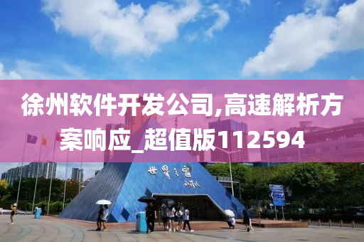 徐州软件开发公司,高速解析方案响应_超值版112594