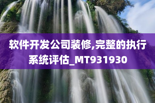 软件开发公司装修,完整的执行系统评估_MT931930