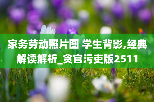 家务劳动照片图 学生背影,经典解读解析_贪官污吏版2511