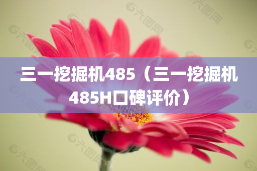 三一挖掘机485（三一挖掘机485H口碑评价）