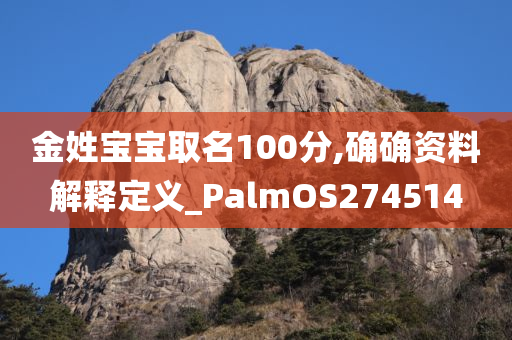 金姓宝宝取名100分,确确资料解释定义_PalmOS274514