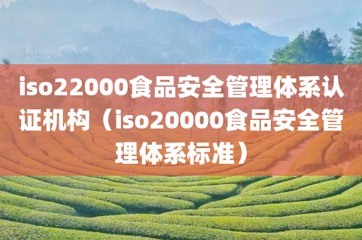 iso22000食品安全管理体系认证机构（iso20000食品安全管理体系标准）