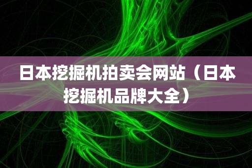 日本挖掘机拍卖会网站（日本挖掘机品牌大全）