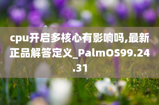 cpu开启多核心有影响吗,最新正品解答定义_PalmOS99.24.31