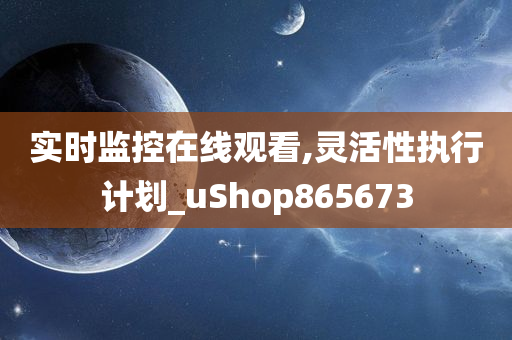 实时监控在线观看,灵活性执行计划_uShop865673