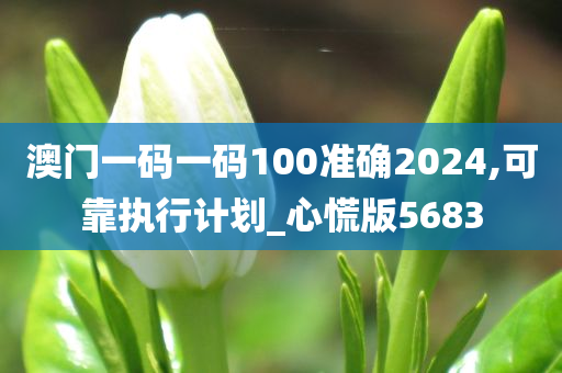 澳门一码一码100准确2024,可靠执行计划_心慌版5683