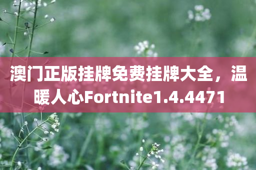 澳门正版挂牌免费挂牌大全，温暖人心Fortnite1.4.4471